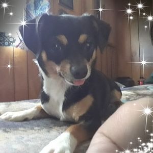 Meet your Posher, Mindy